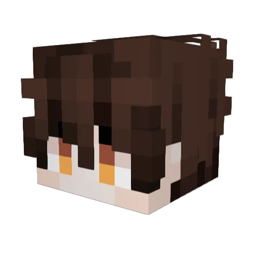 EdricX_ Minecraft avatar head, 3D render