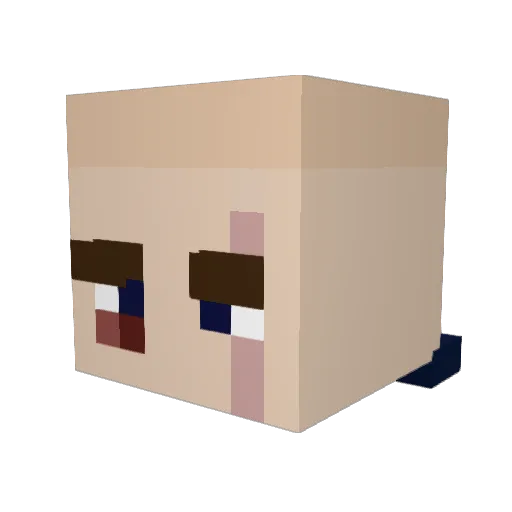 EdrickAdamson Minecraft avatar head, 3D render