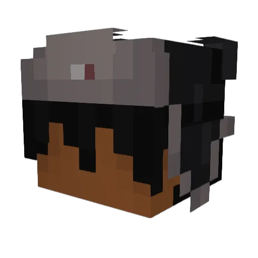 Edswan6405 Minecraft avatar head, 3D render