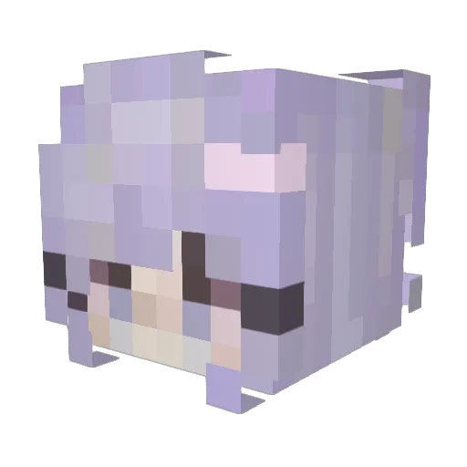 Edthefanyl Minecraft avatar head, 3D render