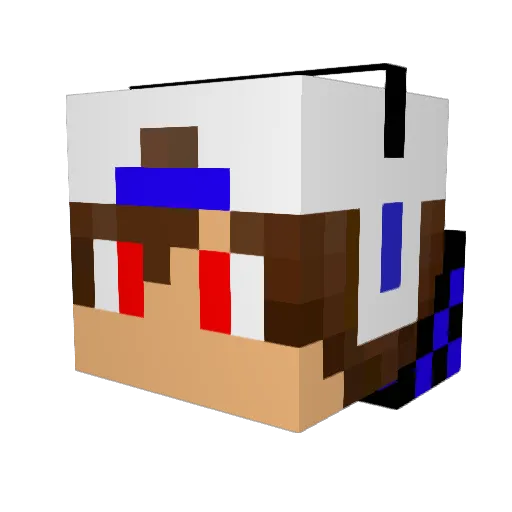 EduMatoGrosso Minecraft avatar head, 3D render