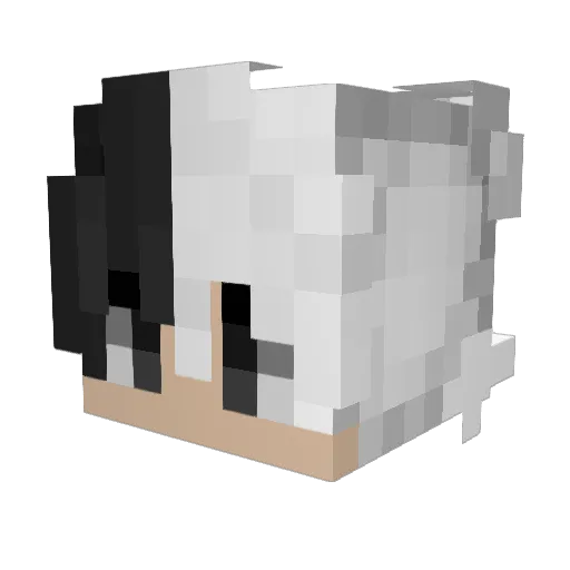 Eduard241 Minecraft avatar head, 3D render