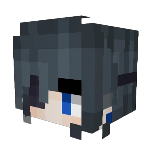 EduardoR554 Minecraft avatar head, 3D render