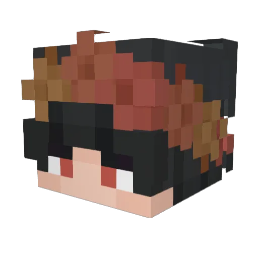 EduardoYang Minecraft avatar head, 3D render