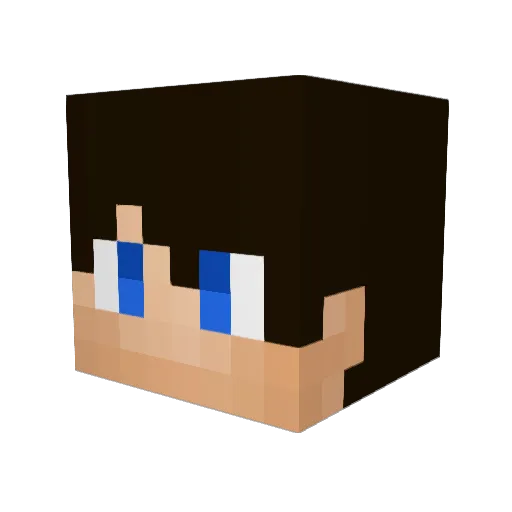 EducatedNoob Minecraft avatar head, 3D render