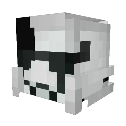 Educated_NerDz Minecraft avatar head, 3D render