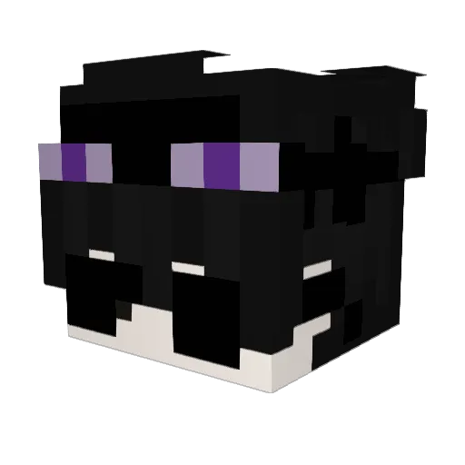Eduu1718 Minecraft avatar head, 3D render