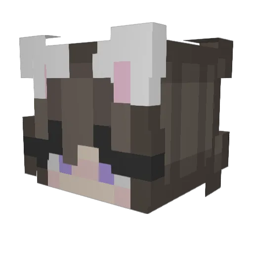 EdvardianGamin Minecraft avatar head, 3D render