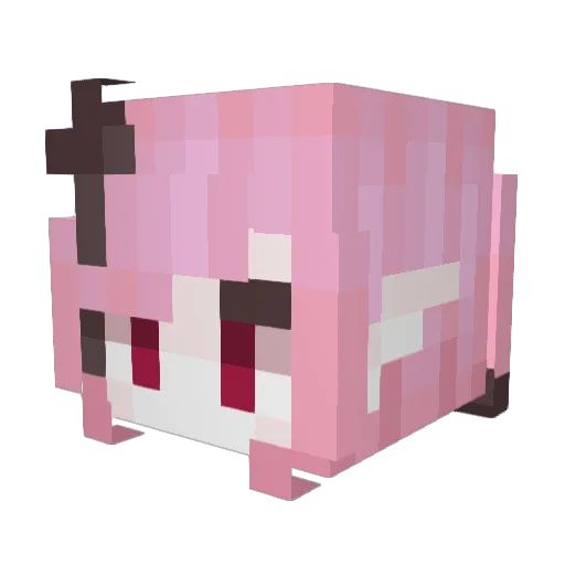 Edw6rd Minecraft avatar head, 3D render