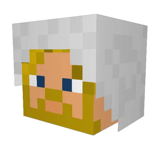 EdwardKenway0 Minecraft avatar head, 3D render