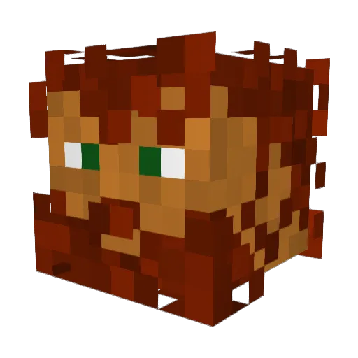 EdwardZNorton Minecraft avatar head, 3D render