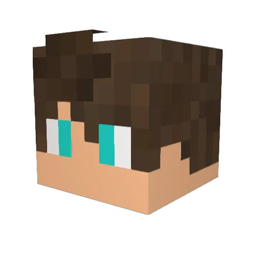 Edward_Le_Renard Minecraft avatar head, 3D render