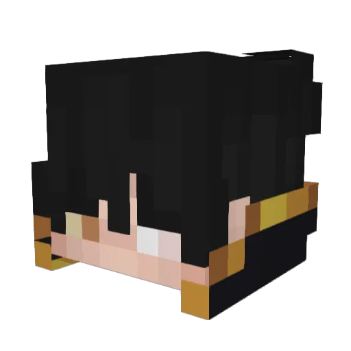 Edward_T Minecraft avatar head, 3D render