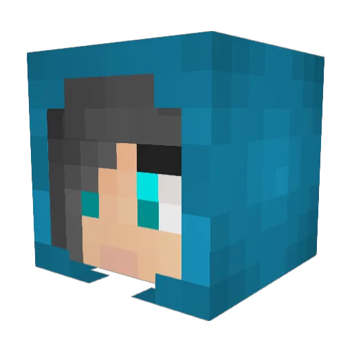 EdwardsElaine Minecraft avatar head, 3D render