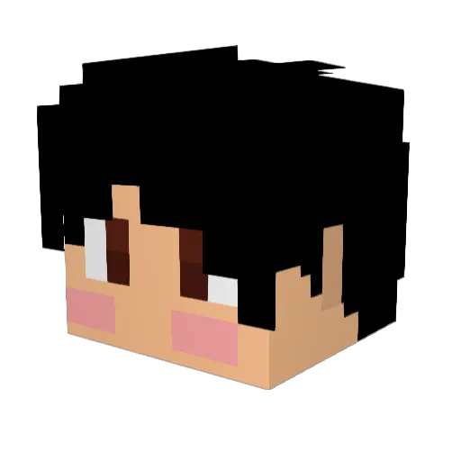 Edwin128 Minecraft avatar head, 3D render