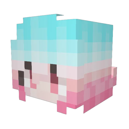 Edwin22 Minecraft avatar head, 3D render