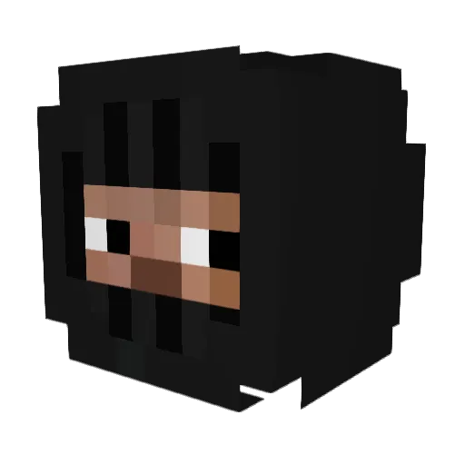 Edwin666 Minecraft avatar head, 3D render
