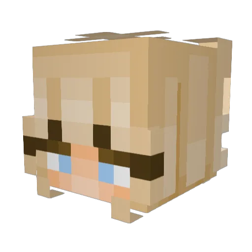 EdwinStyle Minecraft avatar head, 3D render