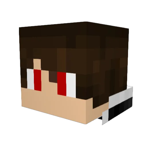 Edwingamer89 Minecraft avatar head, 3D render