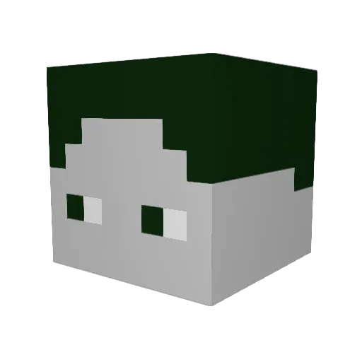 EdxnAbii Minecraft avatar head, 3D render