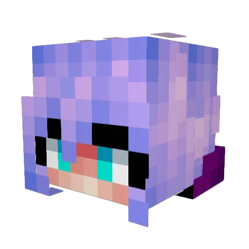 Edy4 Minecraft avatar head, 3D render