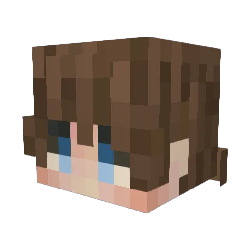 Eealeck Minecraft avatar head, 3D render