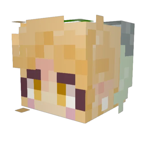Eebelien Minecraft avatar head, 3D render