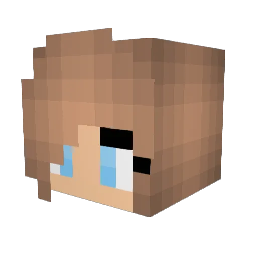 EebsWorld Minecraft avatar head, 3D render