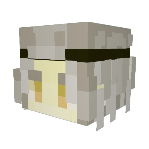 Eebsnub Minecraft avatar head, 3D render