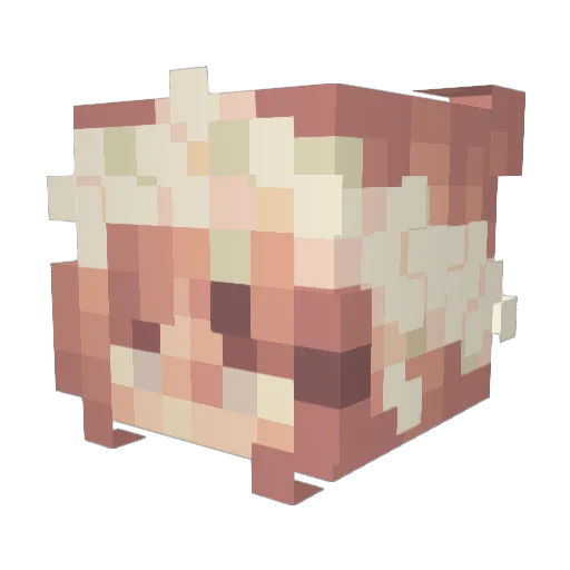 Eeclipse00 Minecraft avatar head, 3D render