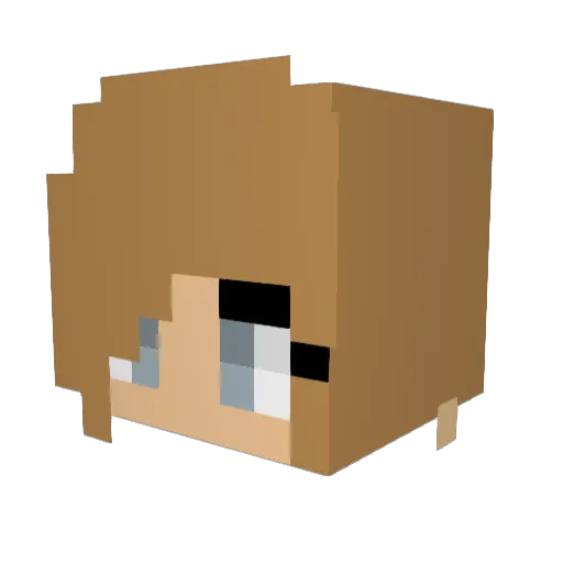 Eefaa11 Minecraft avatar head, 3D render
