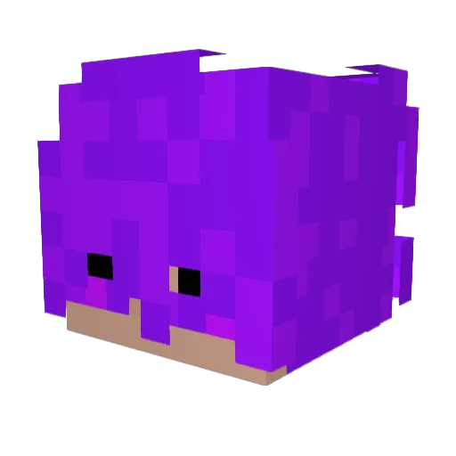 Eefee1x Minecraft avatar head, 3D render