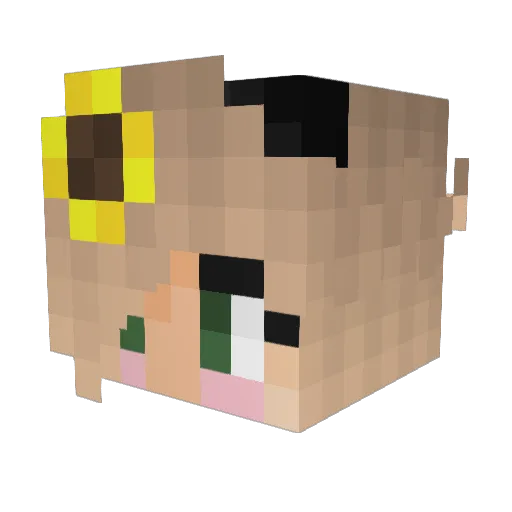 Eefje2004 Minecraft avatar head, 3D render