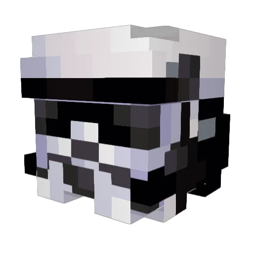 Eekkoopp Minecraft avatar head, 3D render