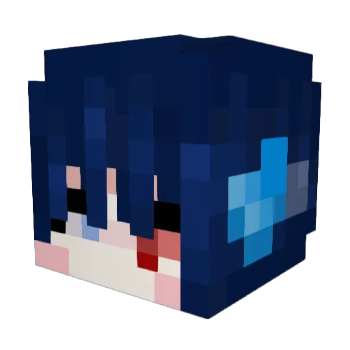 Eel_0925 Minecraft avatar head, 3D render