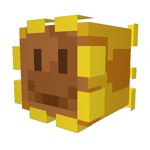 Eelith Minecraft avatar head, 3D render