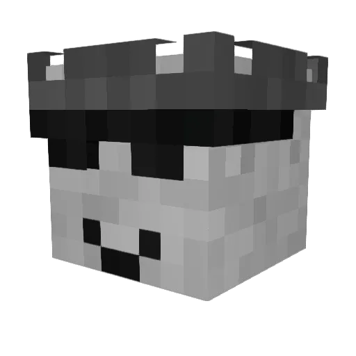 Eemi_Juonoja2009 Minecraft avatar head, 3D render