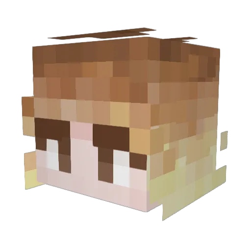 EemilBlockBoy Minecraft avatar head, 3D render