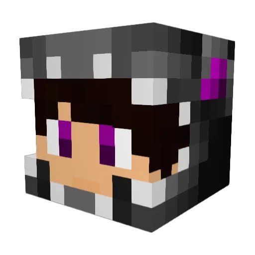 EendenSoep Minecraft avatar head, 3D render