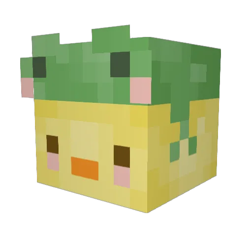 Eepo_Repo Minecraft avatar head, 3D render