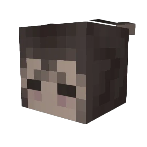 EepyM0th Minecraft avatar head, 3D render