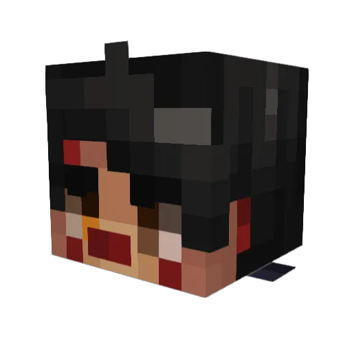 EersteHulp Minecraft avatar head, 3D render