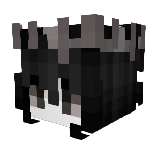 Eervi Minecraft avatar head, 3D render