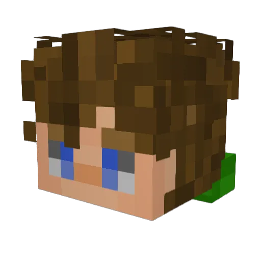 Eetu28 Minecraft avatar head, 3D render