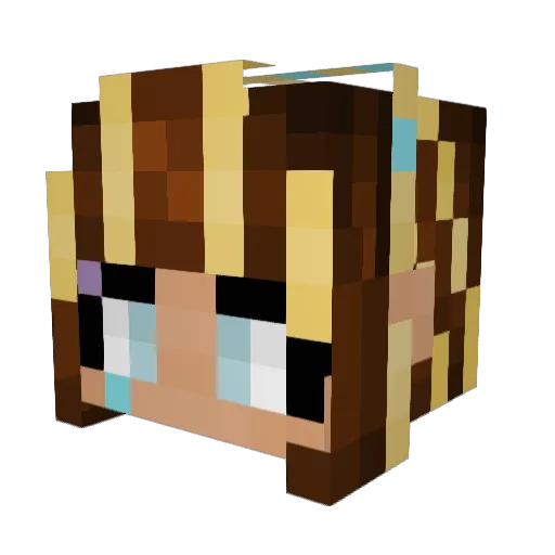 Eevalon Minecraft avatar head, 3D render