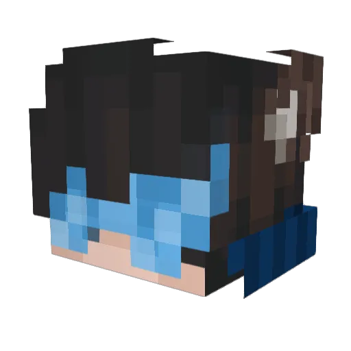 EeveeWonder Minecraft avatar head, 3D render