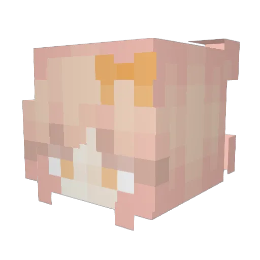 Eevee_Hunter Minecraft avatar head, 3D render