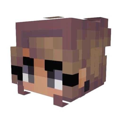 Eevee_Swordx Minecraft avatar head, 3D render