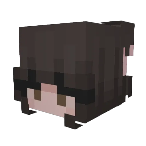 Eeveeeeeeek Minecraft avatar head, 3D render