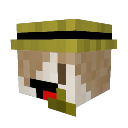 Eeveezin Minecraft avatar head, 3D render